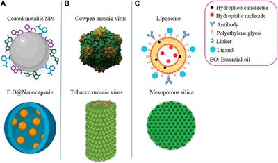 Plant-based nanoparticles targeting malaria management